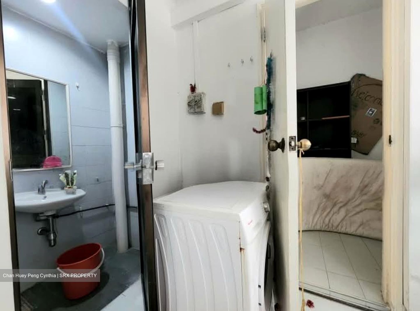 The Tanamera (D16), Condominium #581114981